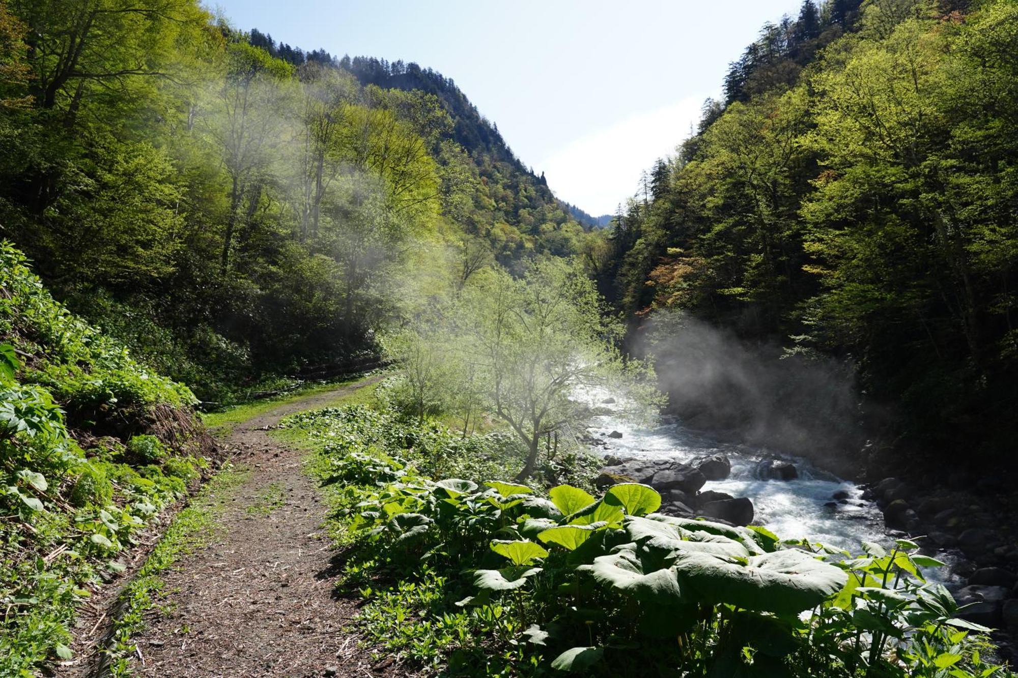 Shikishimaso Hotell Higashikawa Eksteriør bilde